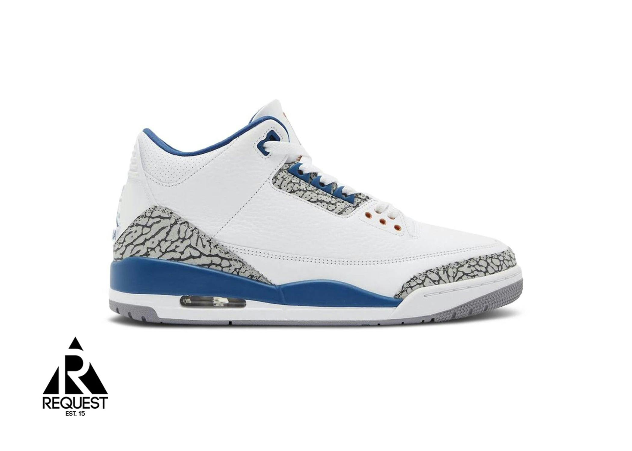 Air Jordan 3 Retro "Wizards"